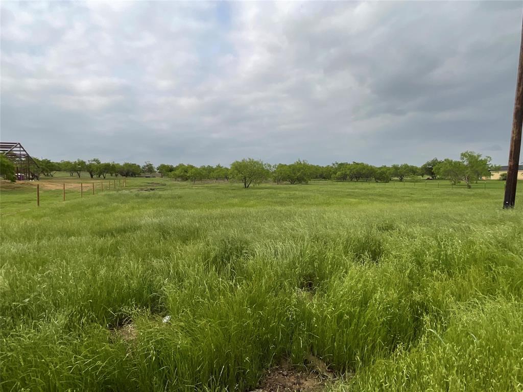 926 Old Oran Road Perrin, TX 76486 - Photo 3 of 8 a view of an ocean from a yard