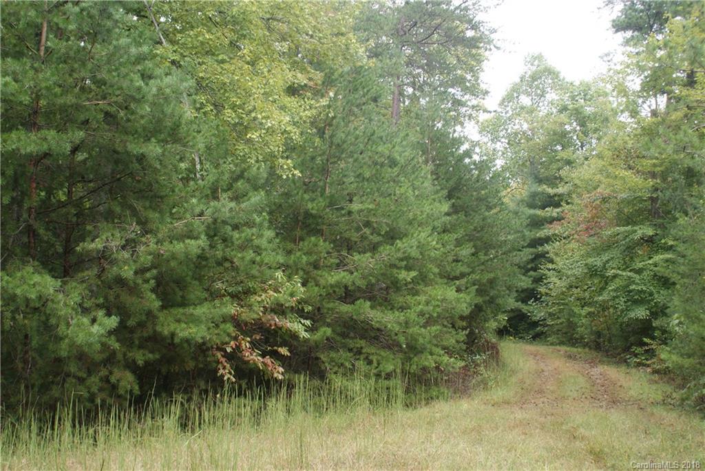 0 Staton Ridge Road, Unit 16 Saluda, NC 28773 - Photo 1 of 7