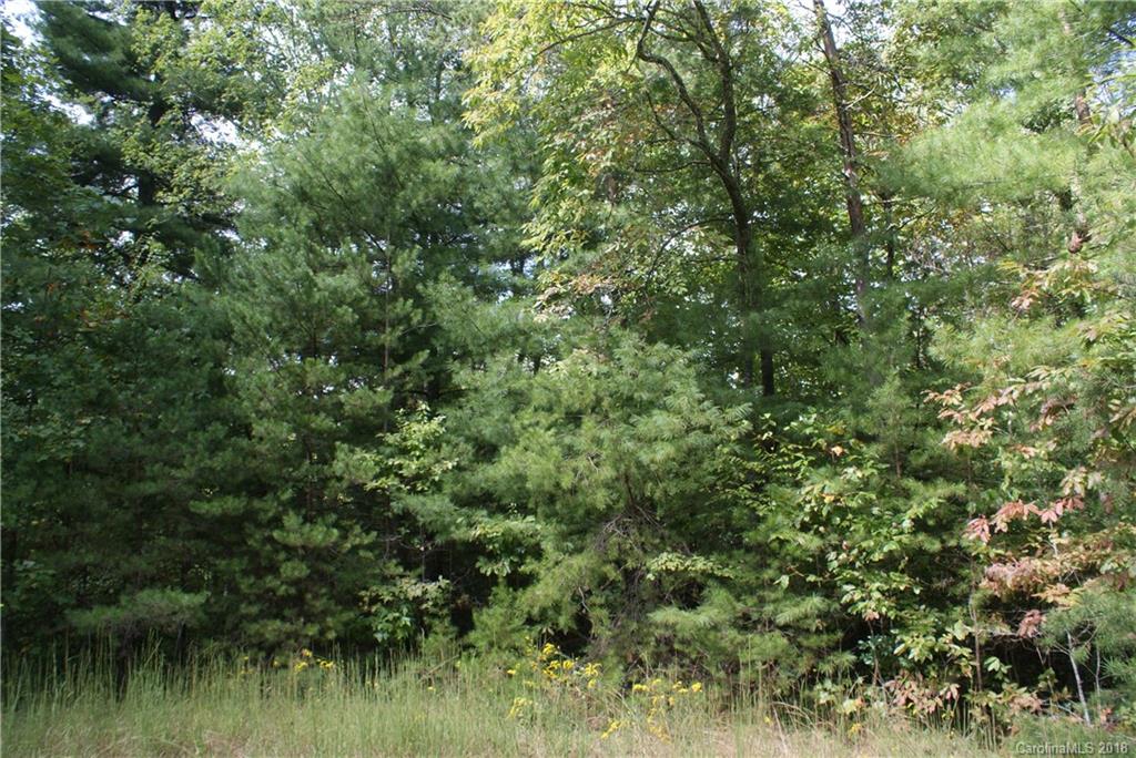 0 Staton Ridge Road, Unit 16 Saluda, NC 28773 - Photo 2 of 7