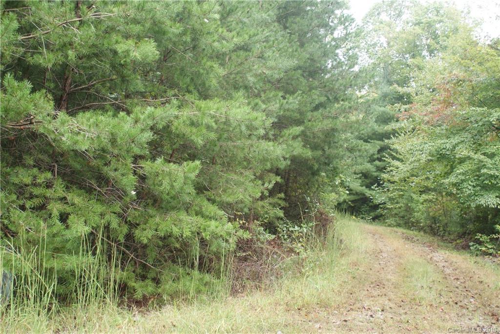 0 Staton Ridge Road, Unit 16 Saluda, NC 28773 - Photo 4 of 7