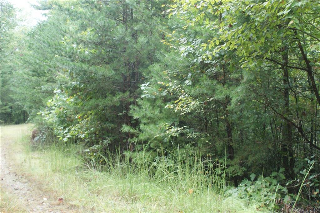 0 Staton Ridge Road, Unit 16 Saluda, NC 28773 - Photo 5 of 7