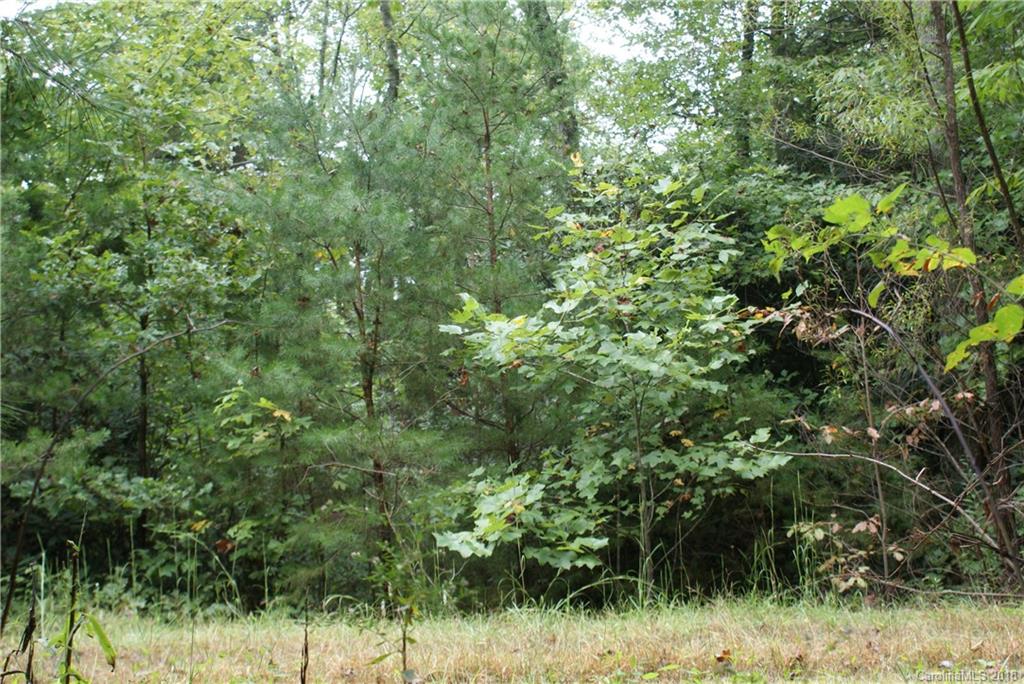 0 Staton Ridge Road, Unit 16 Saluda, NC 28773 - Photo 6 of 7