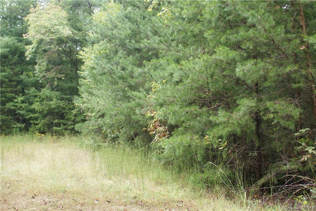 0 Staton Ridge Road, Unit 16 Saluda, NC 28773 - Photo 7 of 7