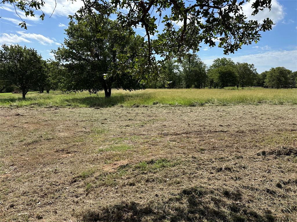 570 Big Salty Lane Springtown, TX 76082 - Photo 7 of 36 Expansive green space featuring a mix of manicured and natural grass, mature trees, and open skies
