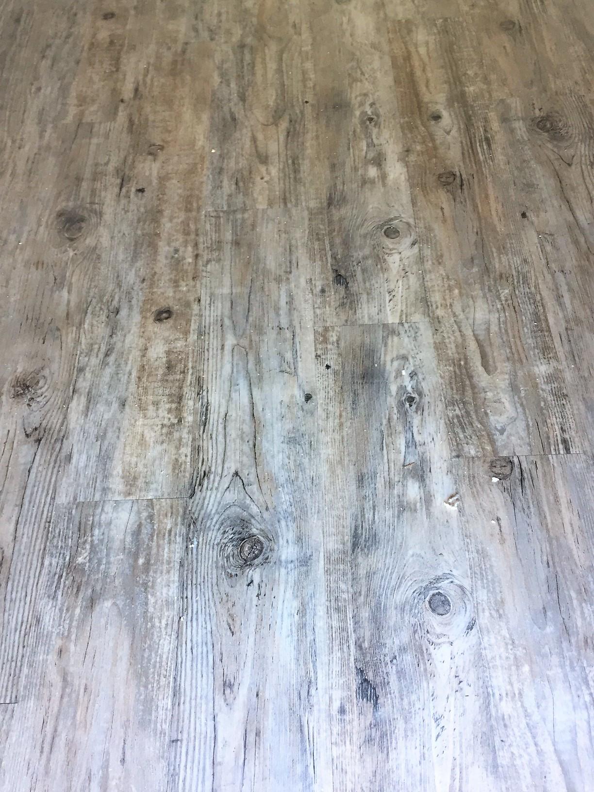 231 Cypress Marsh Road Moncks Corner, SC 29461 - Photo 9 of 37 LVP Flooring