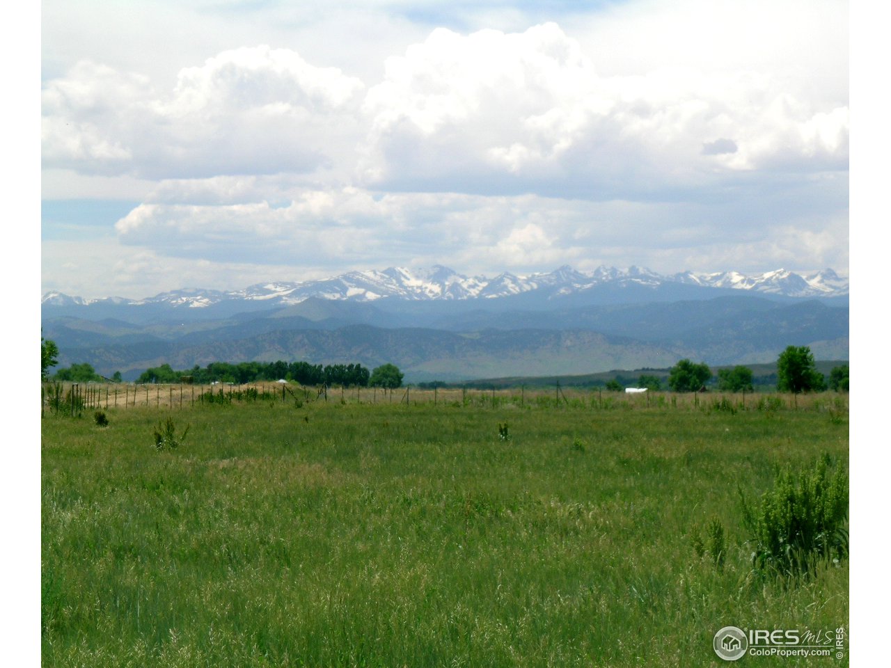 4579 Northeast County Line Road Erie, CO 80516 - Photo 38 of 38 a view of a big yard with a large trees