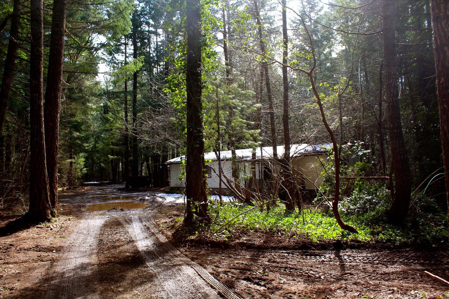 361 Pinewood Way Cave Junction, OR 97523 - Photo 1 of 9 Primary Photo