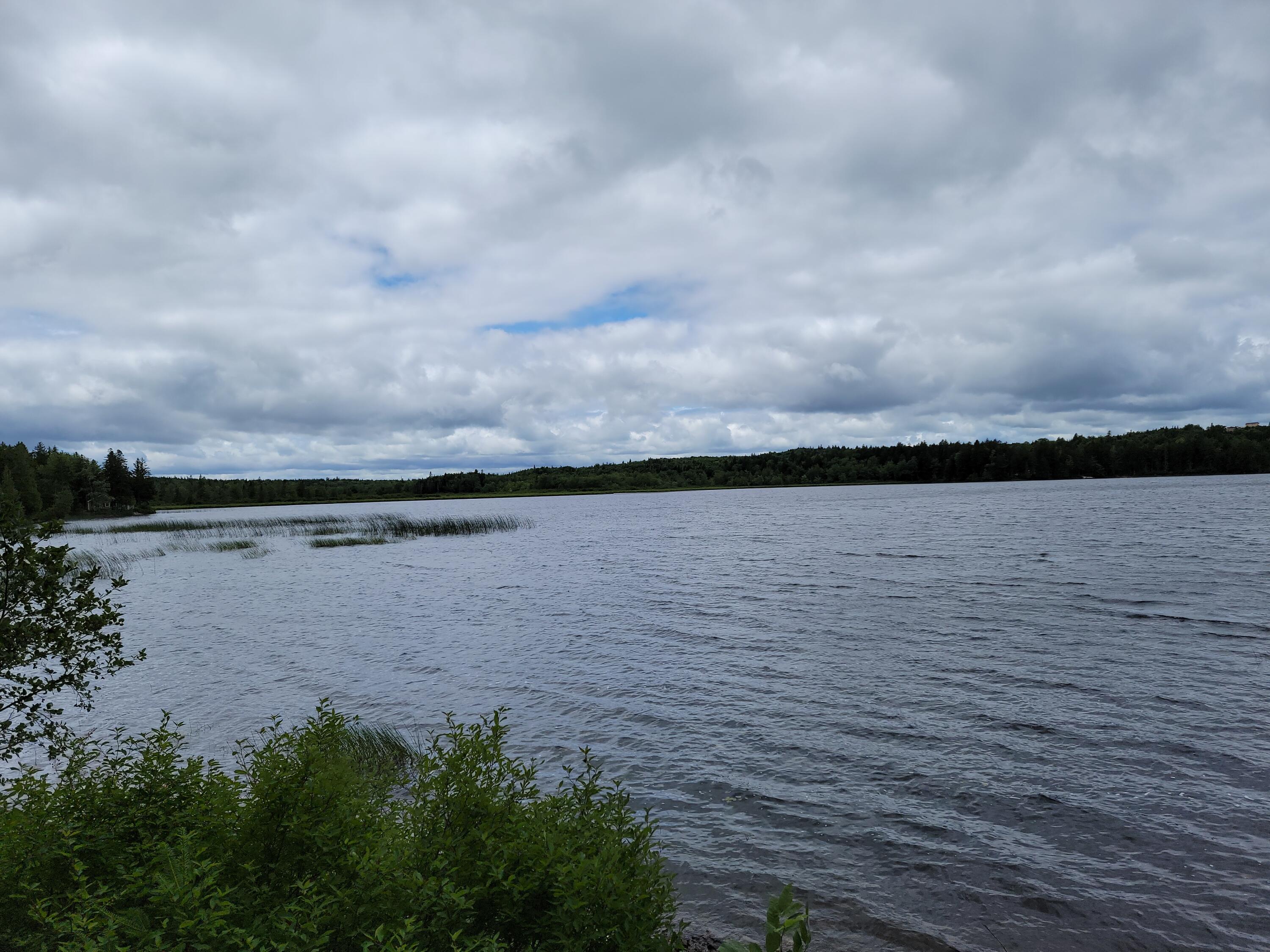 152 Orange Lake Road Whiting, ME 04691 - Photo 25 of 42 20220706_120712