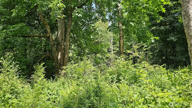 $184,000 | -xxxa South Dove Drive, Camano Island, WA 98282