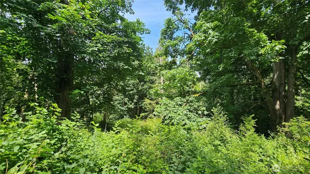 $184,000 | -xxxa South Dove Drive, Camano Island, WA 98282