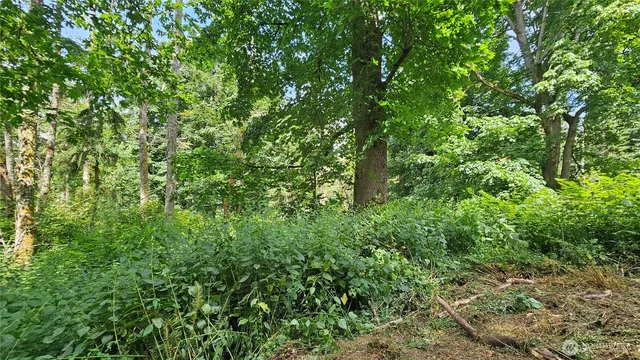 $184,000 | -xxxa South Dove Drive, Camano Island, WA 98282