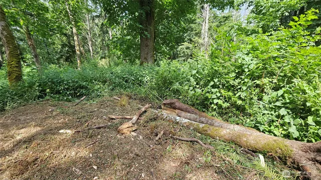 $184,000 | -xxxa South Dove Drive, Camano Island, WA 98282