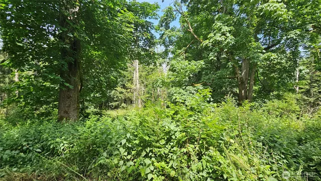 $184,000 | -xxxa South Dove Drive, Camano Island, WA 98282