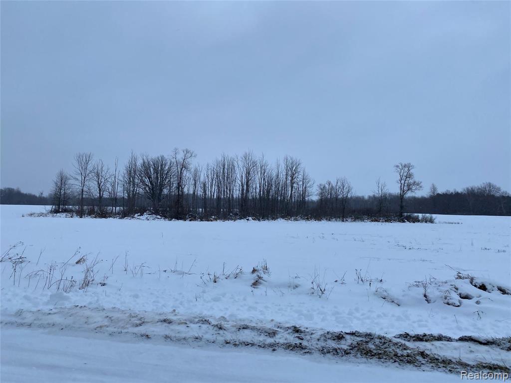 8978 Slattery Road Marlette, MI 48453 - Photo 3 of 4 Gallery Image 3