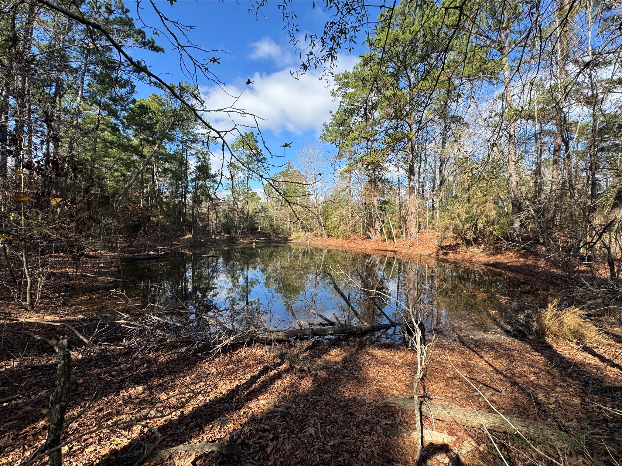 55 Lake Road Huntsville, TX 77320 - Photo 48 of 50