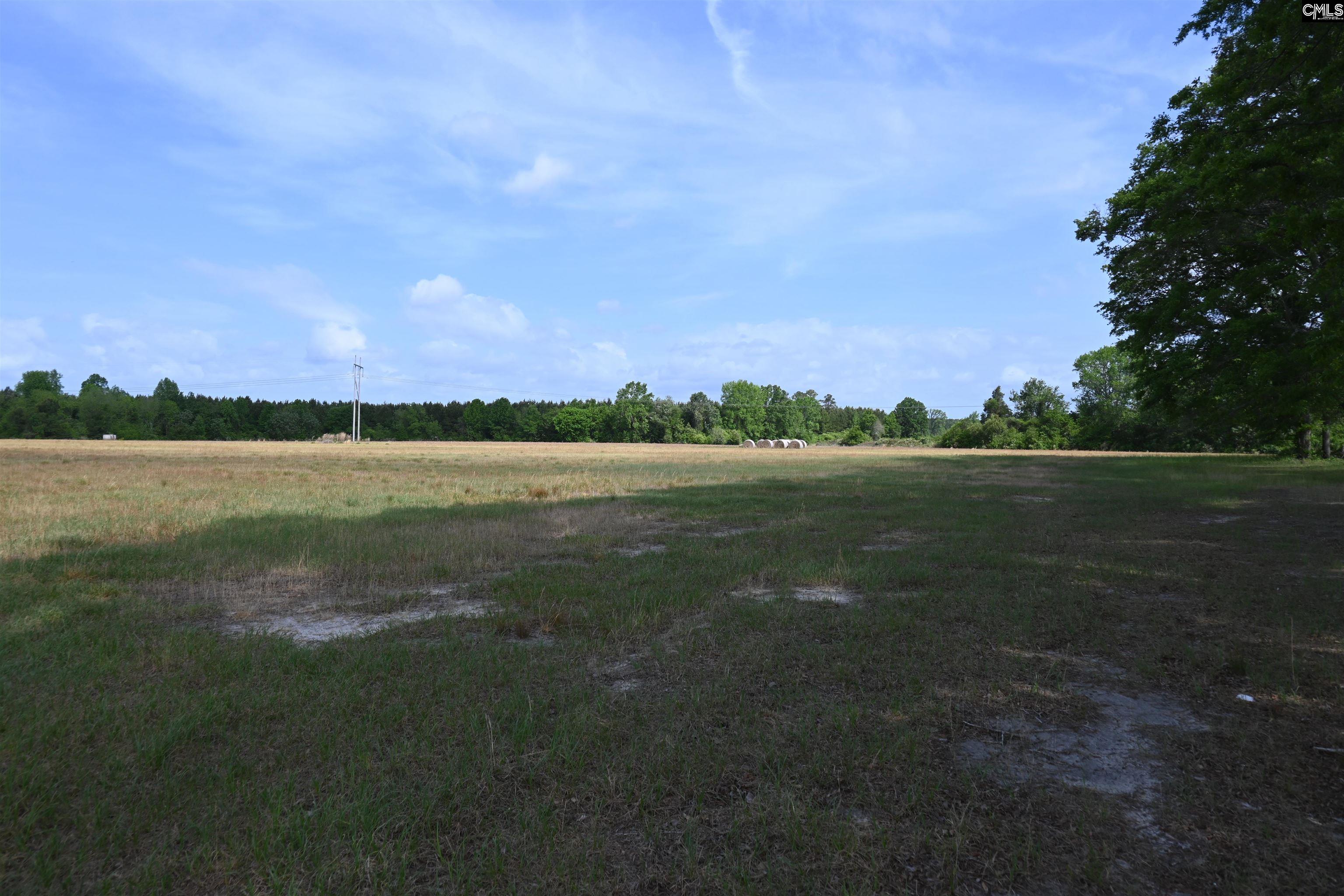 Tbd Gallowaytown Road Hartsville, SC 29550 - Photo 2 of 34