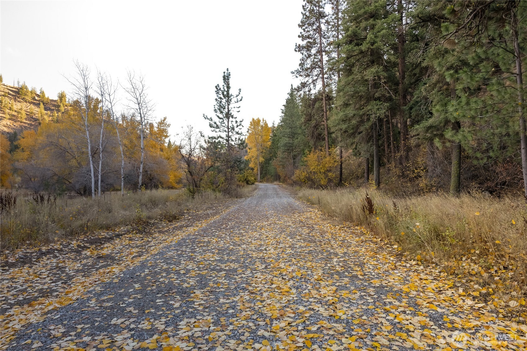 185 Mad Ranch Lane Entiat, WA 98822 - Photo 14 of 21