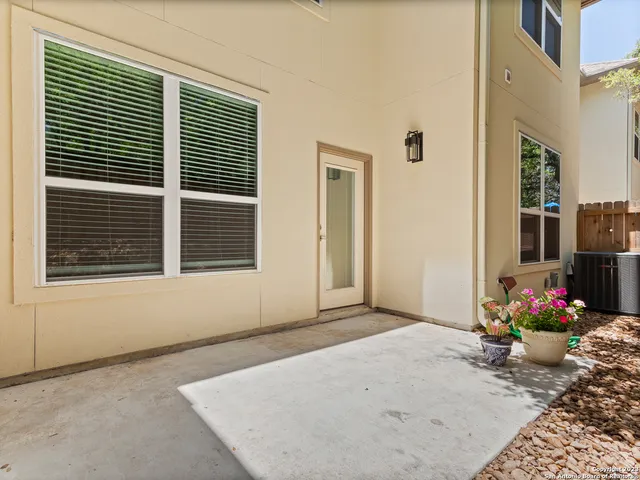 a view of backyard with potted plants