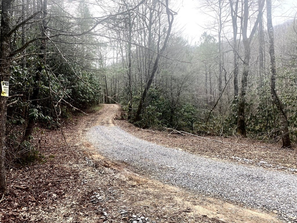 0 Flea Mountain Road Murphy, NC 28906 - Photo 21 of 54 Flea Mountain Rd.