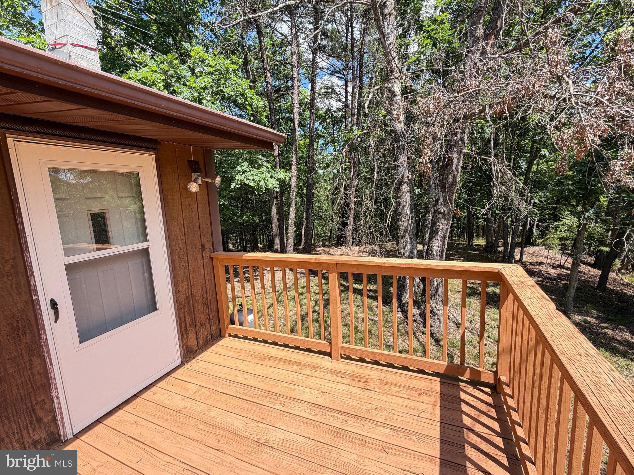 511 Chickadee Road Purgitsville, WV 26852 - Photo 68 of 99
