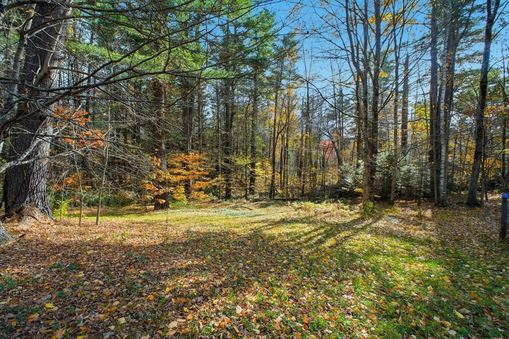 18 Little Alum Road Brimfield, MA 01010 - Photo 31 of 36 Gallery Image 31