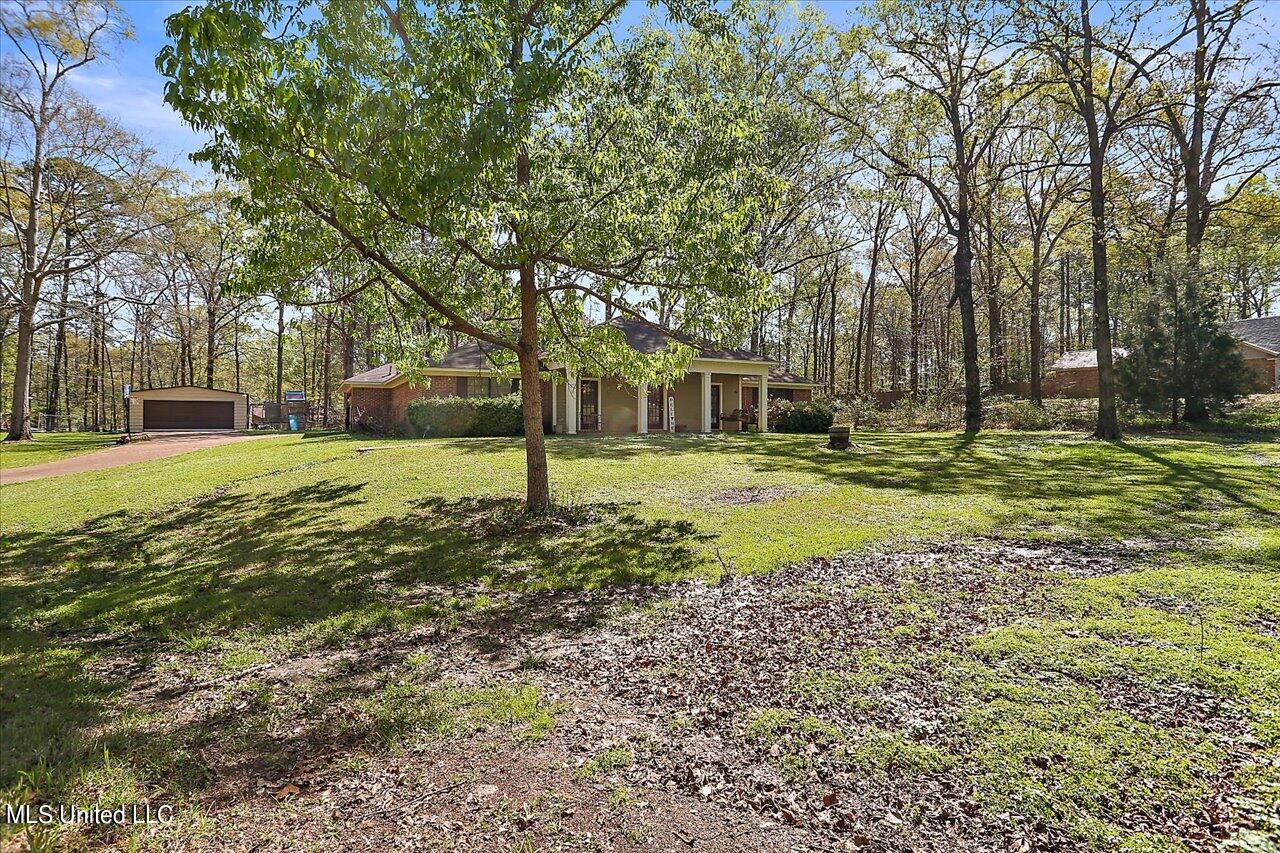 2240 Almar Road Florence, MS 39073 - Photo 4 of 35 03-2240 Almar Rd