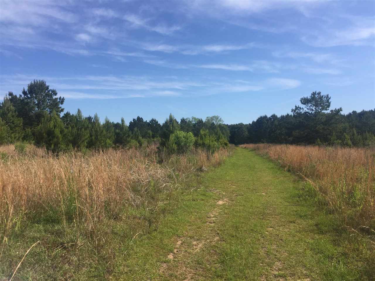 14300 Marion Weeks Lane Foley, AL 36535 - Photo 4 of 5 Road