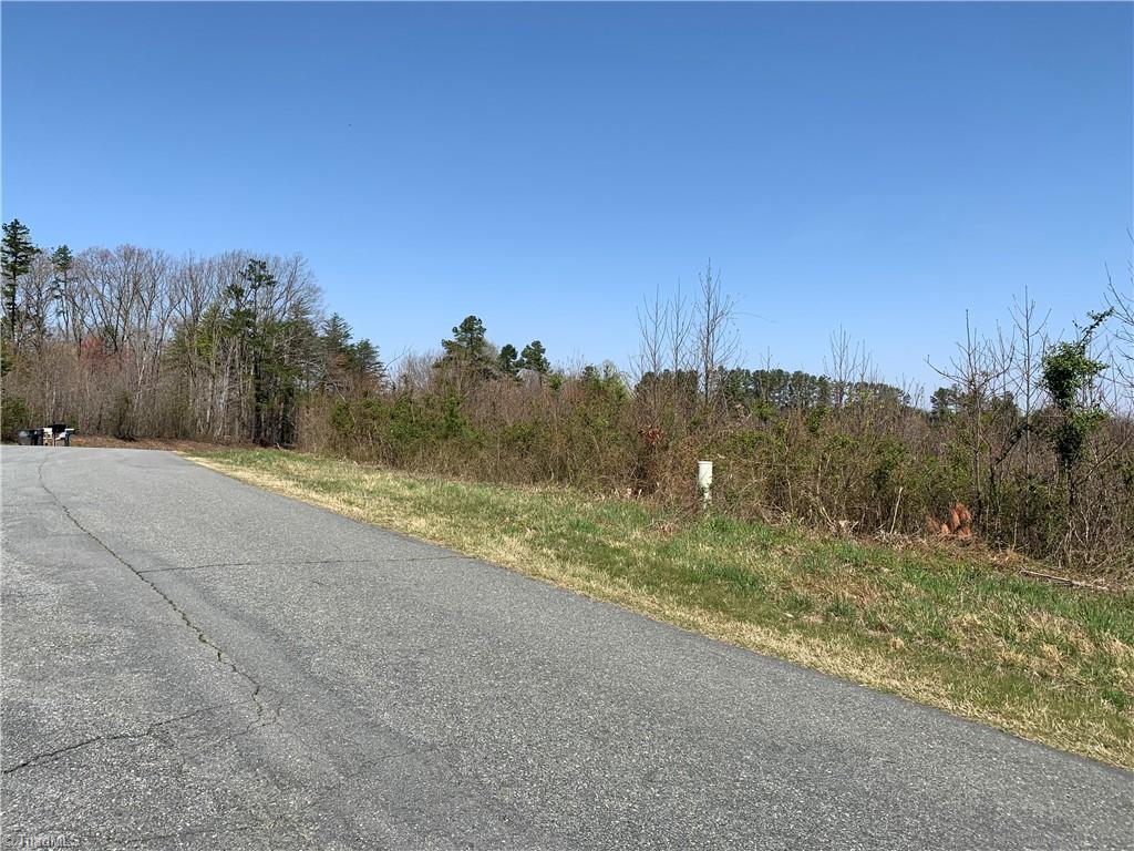 7777 Misty Mountain Road Germanton, NC 27019 - Photo 3 of 17 Gallery Image 3