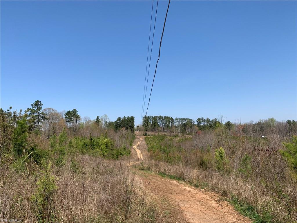 7777 Misty Mountain Road Germanton, NC 27019 - Photo 6 of 17 Gallery Image 6