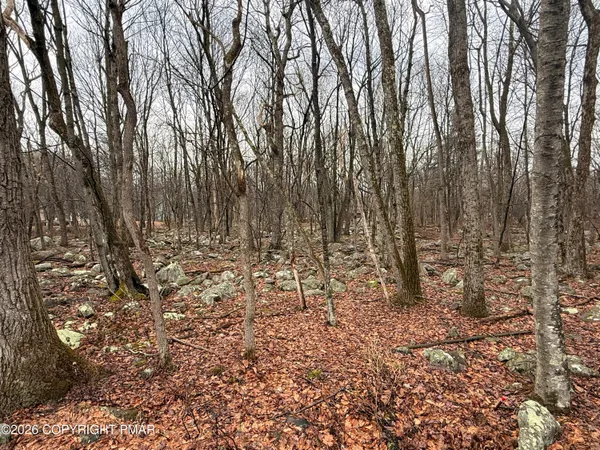 $12,000 | Lipo Way, Albrightsville, PA 18210