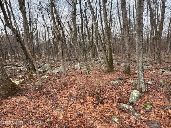 $12,000 | Lipo Way, Albrightsville, PA 18210