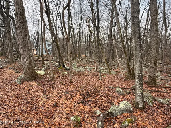 $12,000 | Lipo Way, Albrightsville, PA 18210