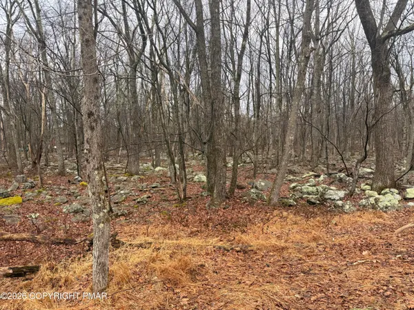 $12,000 | Lipo Way, Albrightsville, PA 18210