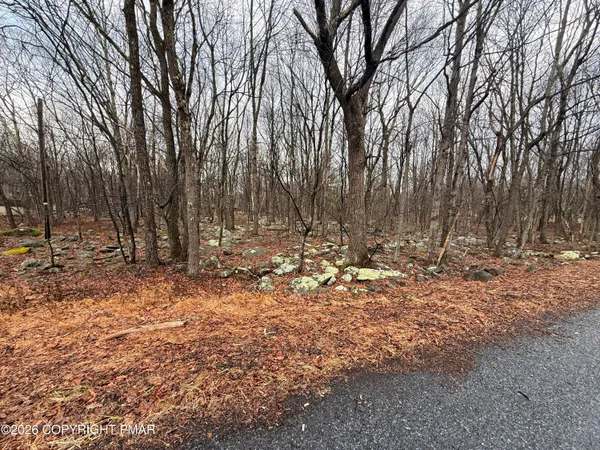 $12,000 | Lipo Way, Albrightsville, PA 18210