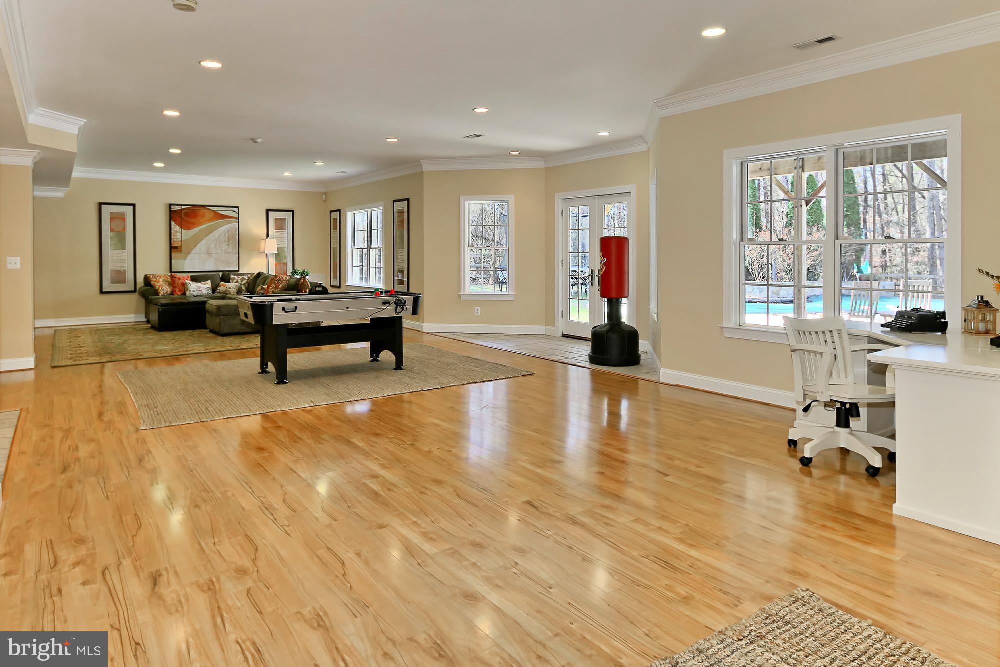 6032 Colchester Road Fairfax, VA 22030 - Photo 23 of 29 All fun and games in Walk out lower level