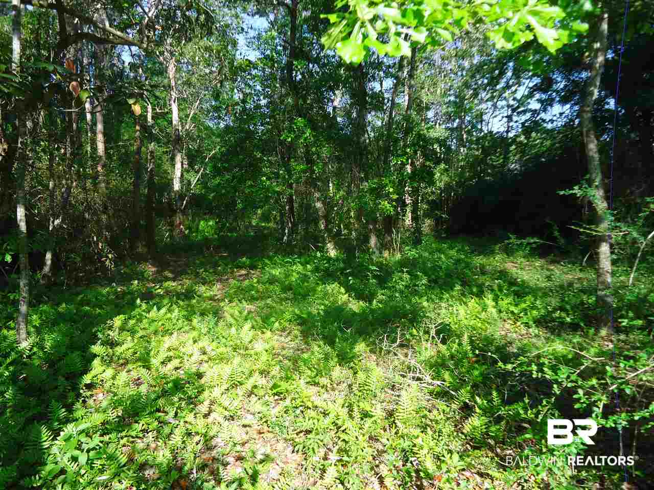 0 Hammock Road Elberta, AL 36530 - Photo 10 of 15
