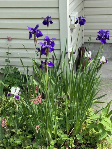 $249,000 | 359 10th Street, Manistee, MI 49660