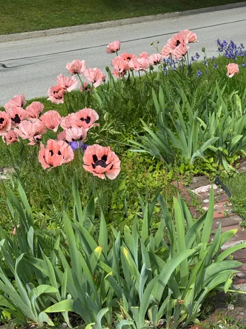 $249,000 | 359 10th Street, Manistee, MI 49660