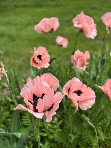 $249,000 | 359 10th Street, Manistee, MI 49660