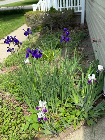 $249,000 | 359 10th Street, Manistee, MI 49660