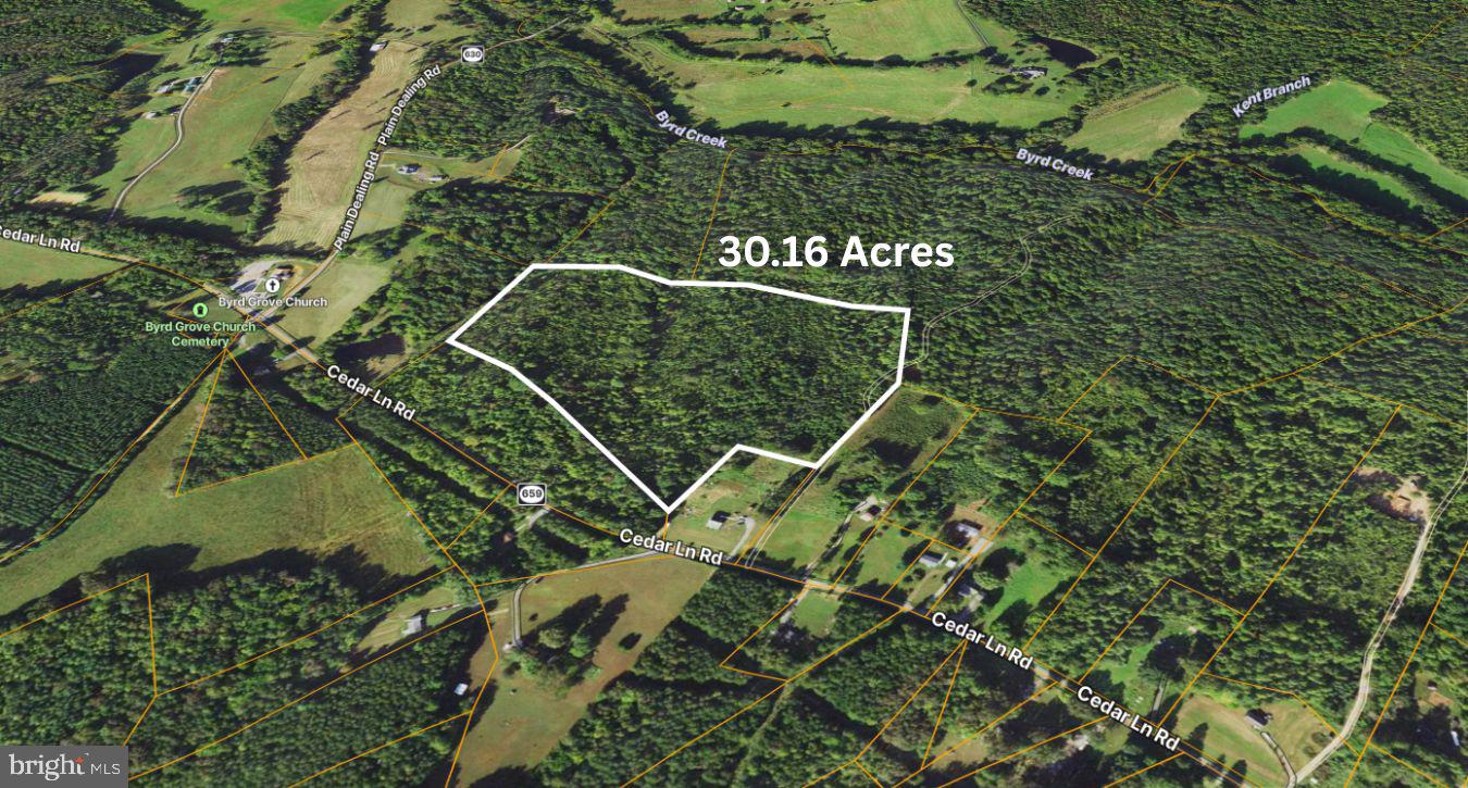 0 Cedar Lane Road Kents Store, VA 23084 - Photo 1 of 16 Gallery Image 1
