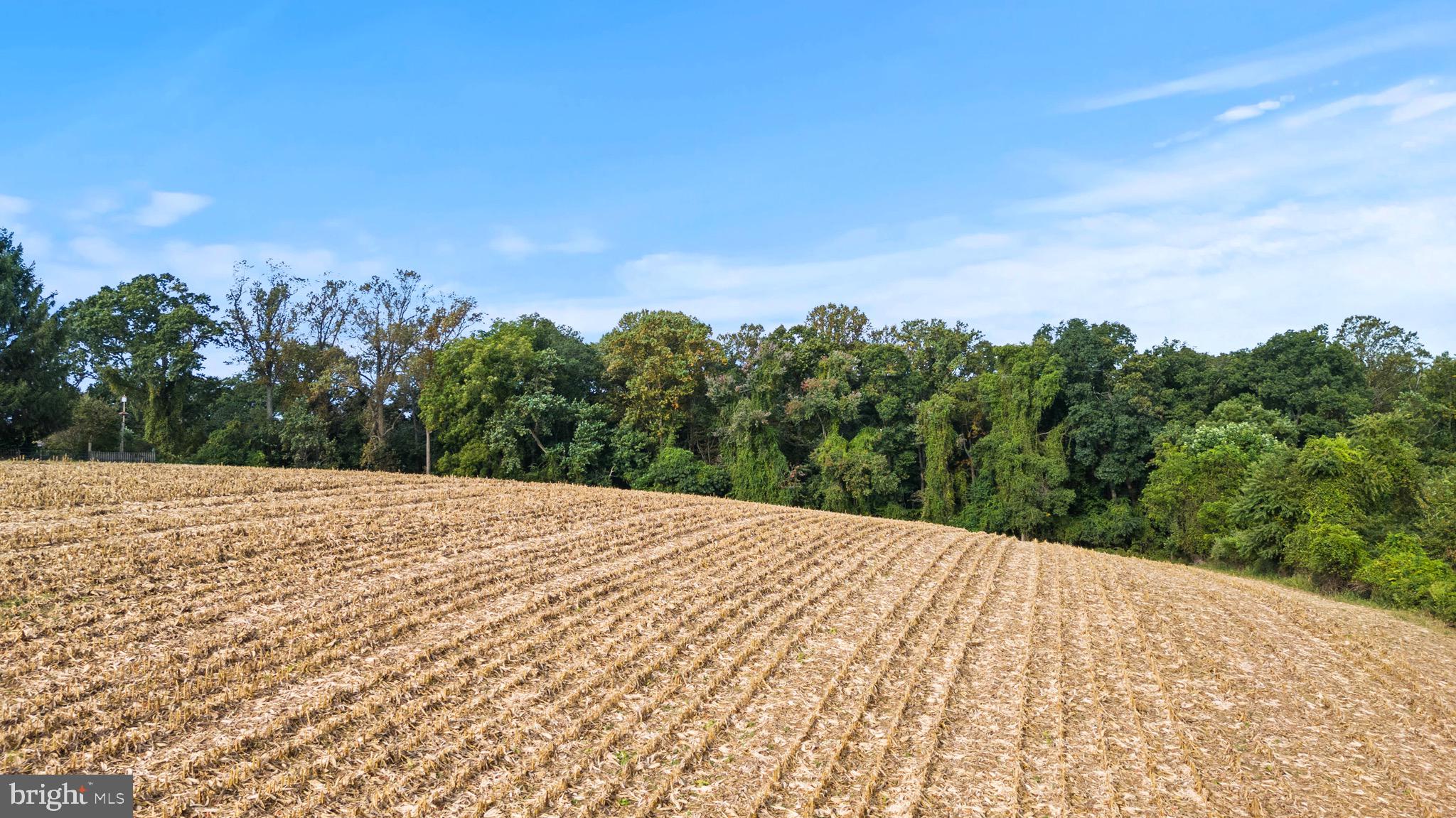 2016 Durham Road Fallston, MD 21047 - Photo 11 of 43 a view of a dry yard with trees in the background
