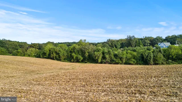 a view of a dry yard with trees in the background