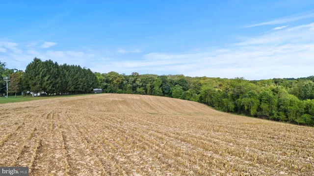 a view of a backyard of the house