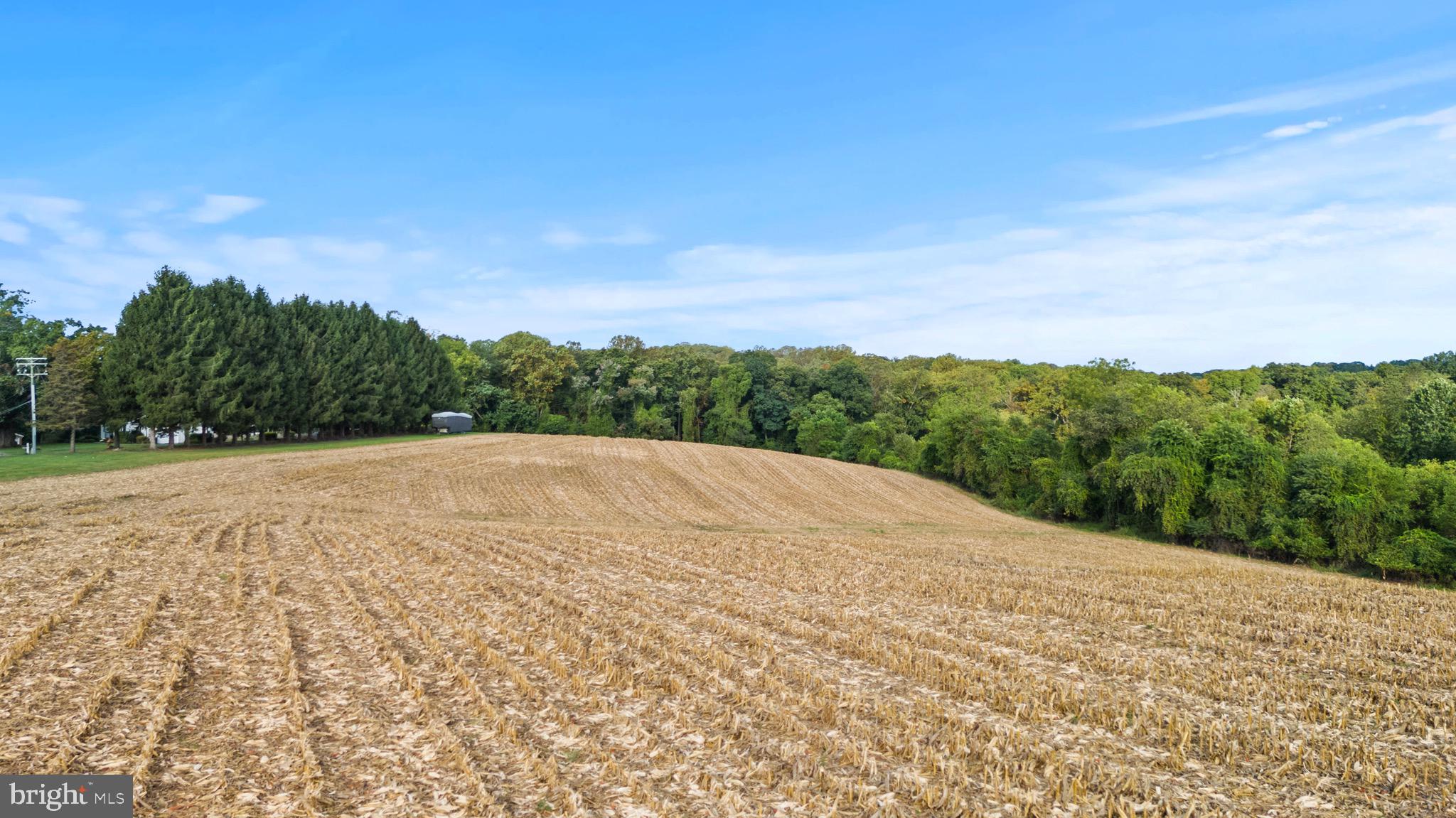 2016 Durham Road Fallston, MD 21047 - Photo 13 of 43 a view of a dry yard with trees in the background