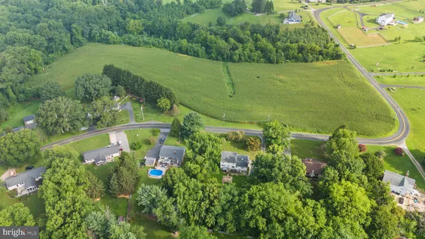 a view of a green yard with large trees