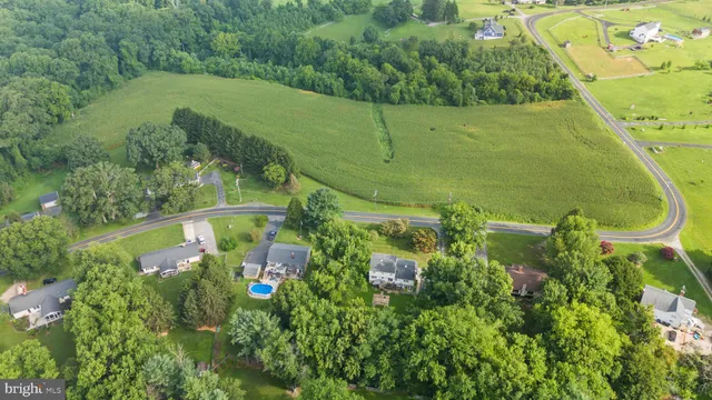a view of a green yard with large trees