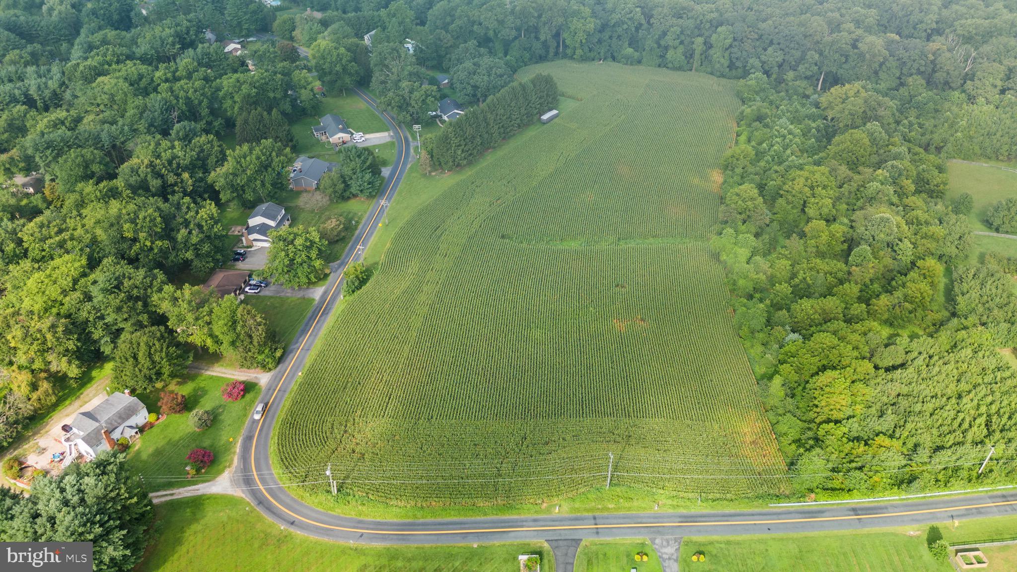 2016 Durham Road Fallston, MD 21047 - Photo 25 of 43 a view of a garden