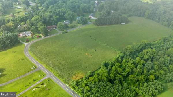 a view of a garden from a balcony