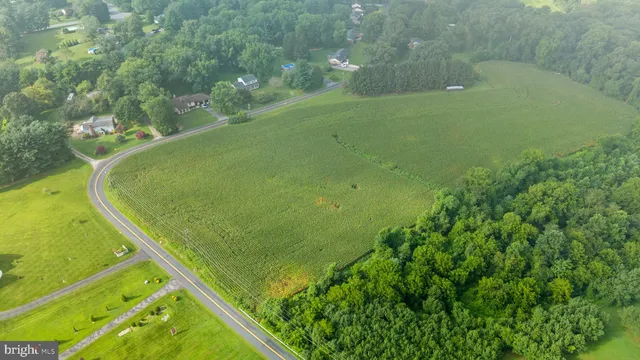 a view of a garden from a balcony